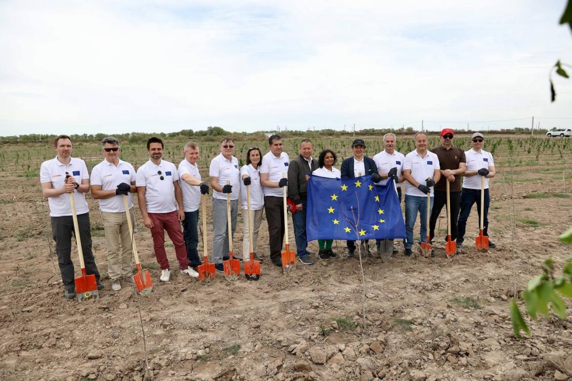 European Union to plant 27 thousand trees in Aral Sea basin