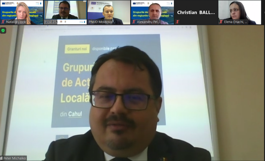 Screenshor during a virtual meeting