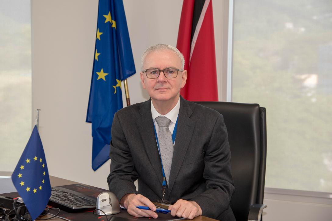 Ambassador Cavendish Portrait 2024