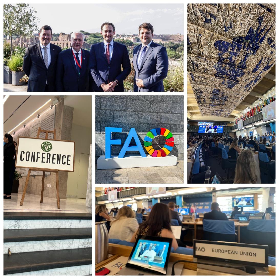 Ms at FAO