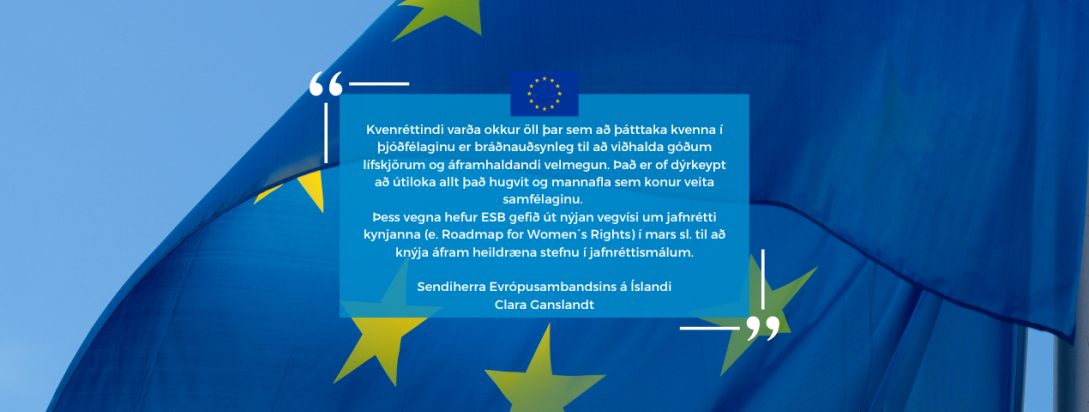 Website banner highlighting a text of an oped by Ambassador Ganslandt