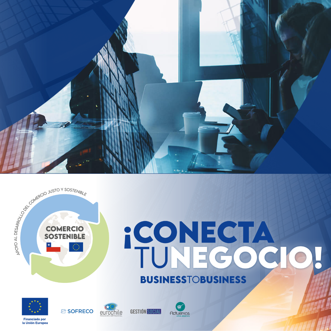 conecta B2B