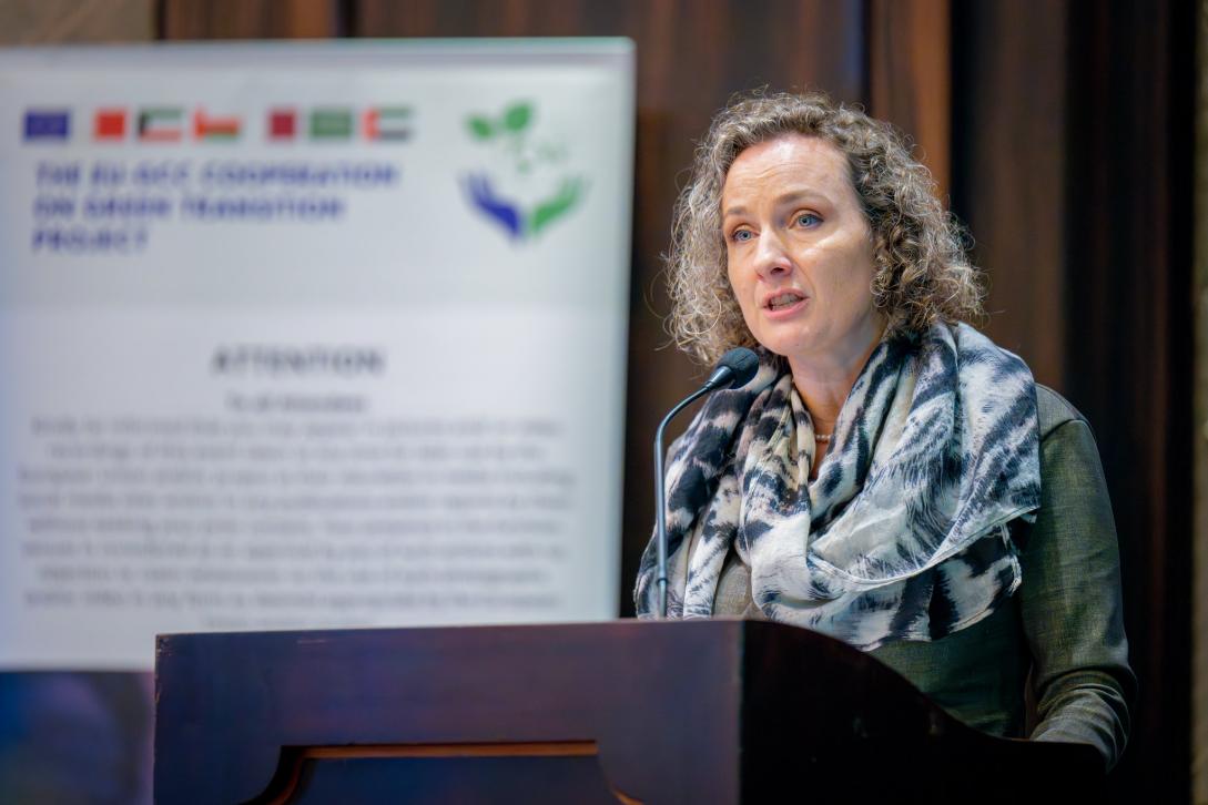 EU-UAE Business Breakfast Strengthens Global Drive for Energy Efficiency