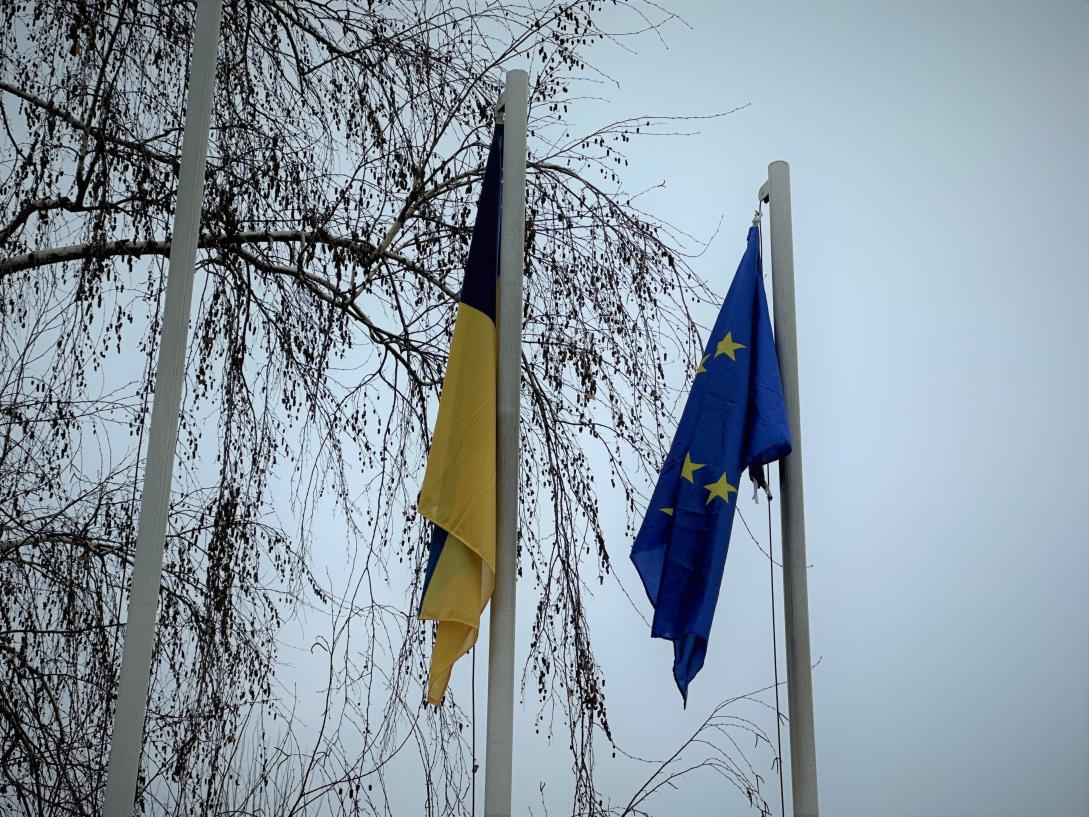 Ukrainian Flag