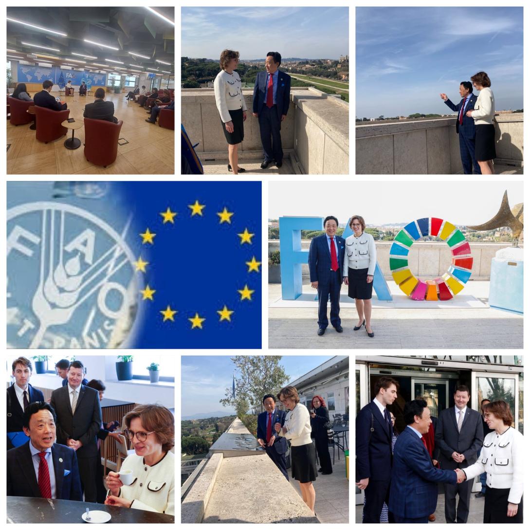 Cssr AT FAO