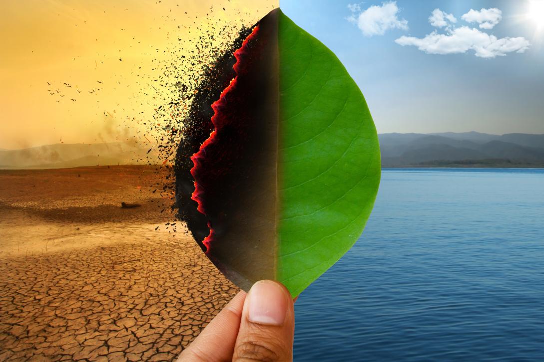 Climate change, global warming (Shutterstock)
