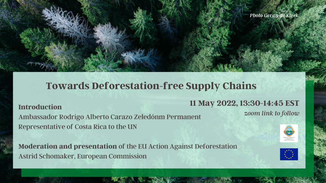 Towards Deforestation-free Supply Chains | EEAS Website