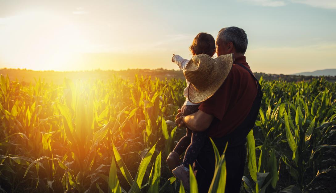 World Food Safety day, iStock image, Father and son looking at field at sunset