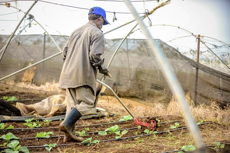 Climate Smart Agriculture project in Mauritius 