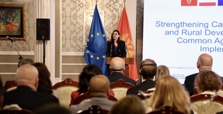 Oana Cristina Popa standing in front of a crowd of audience at Villa Gorica. Behind her there are two flags,the Montenegrin flag and the flag of the EU