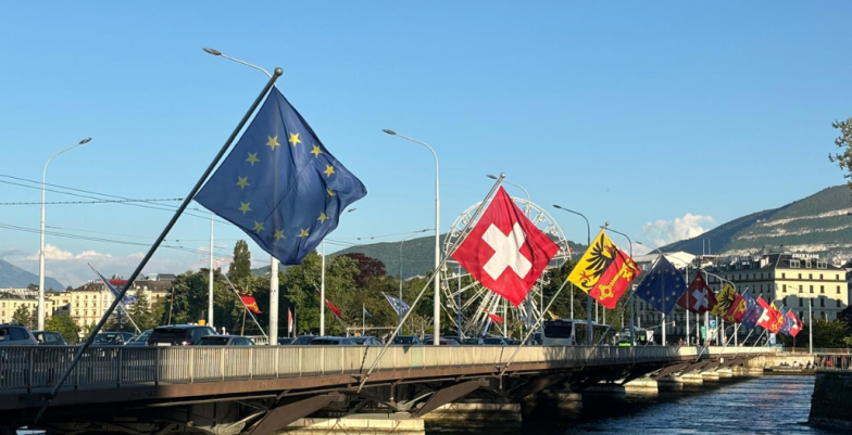 EU flags on Mont Blanc Bridge