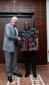 HRVP Borrell shaking hands with Ghana's President Nana Akufo-Addo