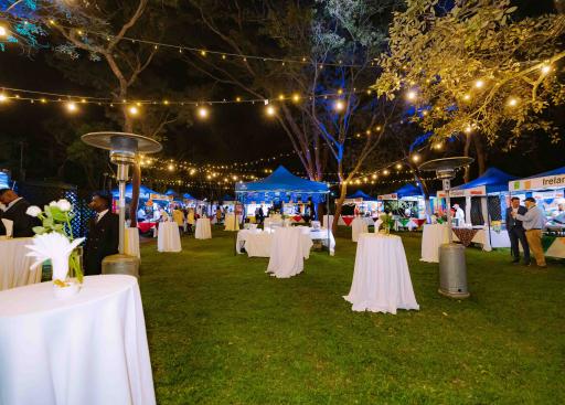 Europe Day Celebrations 2025- Harare, Zimbabwe