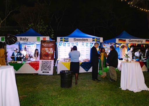 Europe Day Celebrations 2025- Harare, Zimbabwe