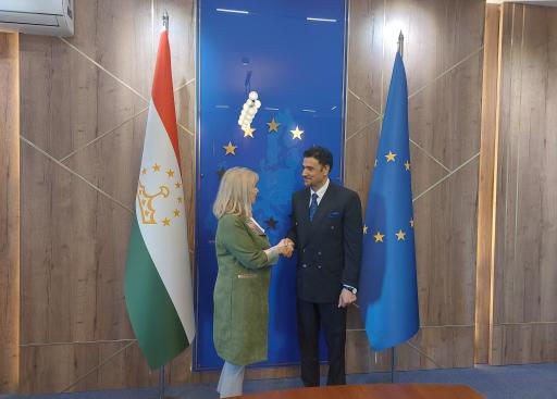 EUSR Hakala and H.E. Mr Mohammad Zahir Aghbar, Ambassador of Afghanistan to the Republic of Tajikist