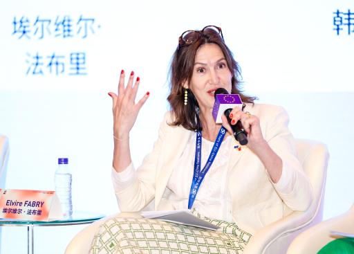 Conference on EU - China 50th year's relation _41