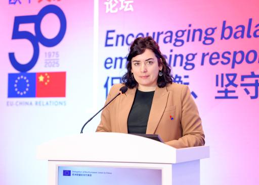 Conference on EU - China 50th year's relation _32