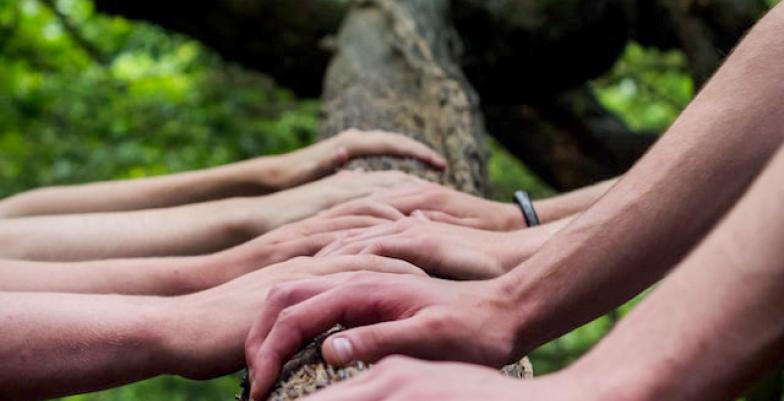 Varias manos colocadas en el tronco de un árbol.