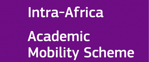Poster for Intra-Africa Scholarships 2