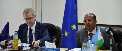 Djibouti-EU political dialogue 2020 
