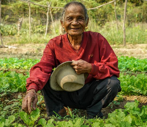 The Promoting of resilience in agricultural production and enterprises for food security among subsistence farmers along the Mekong, supported by EU, UNDP, Sweden. Feb. 2018